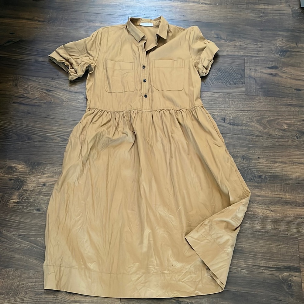 Everlane Parklet Shirt Dress